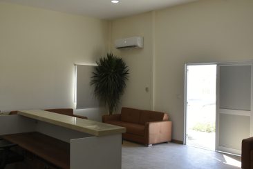 _DSC0646