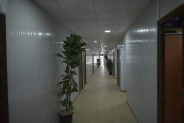 _DSC0650
